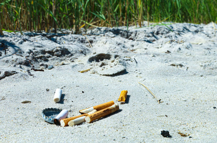 Clean Up Cigarette Butts On The Ground