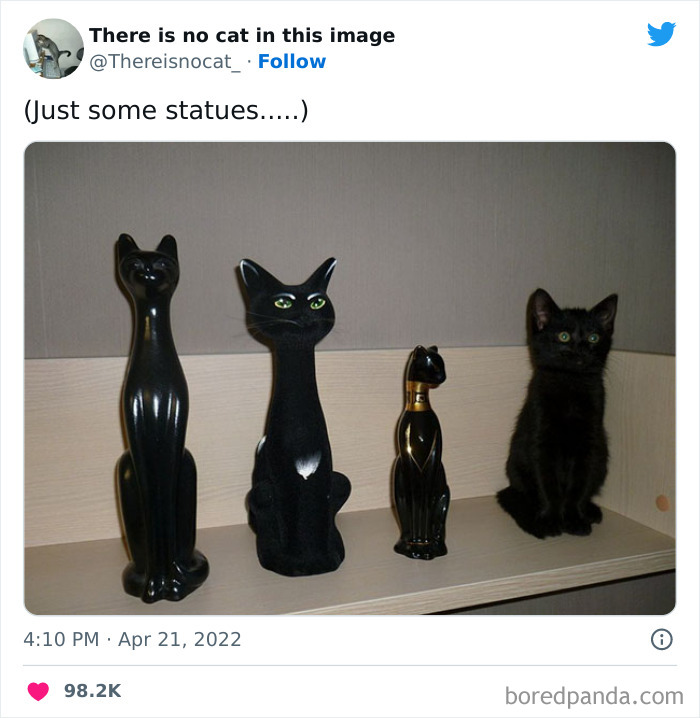 Memes-Jokes-To-Discuss-In-Therapy