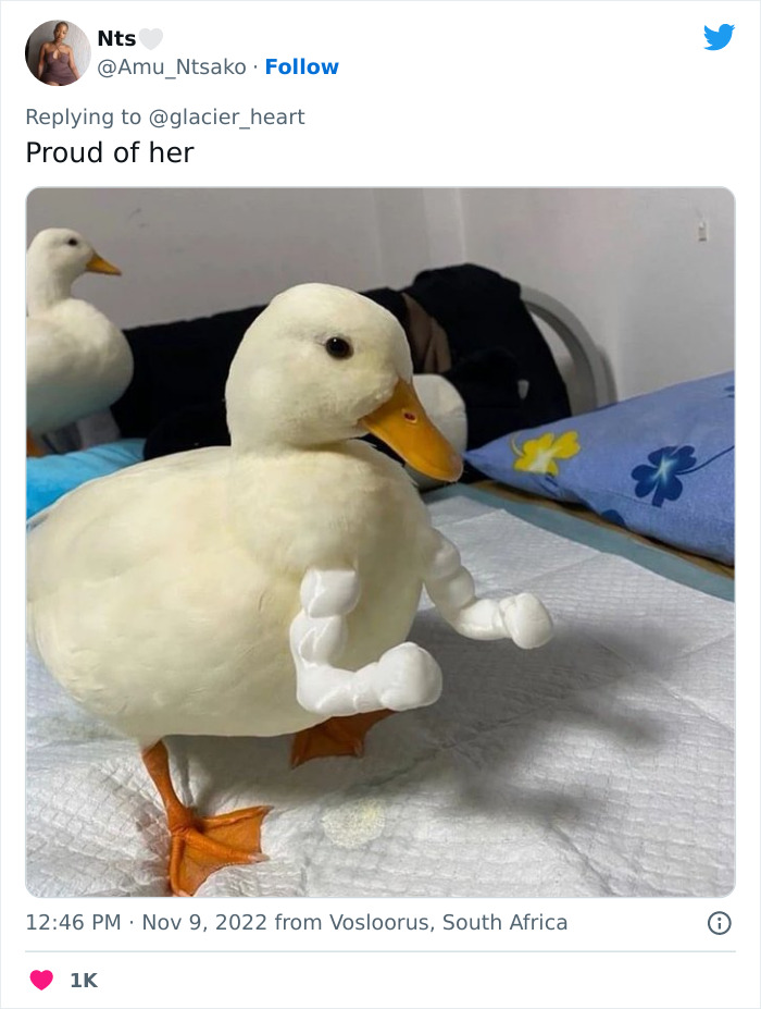 "That Child Was So Scared": Woman Hits Her Daughter’s Bully’s Mom In Front Of Her Child To Make Sure They Don’t Do It Again "That Child Was So Scared": Woman Hits Her Daughter’s Bully’s Mom In Front Of Her Child To Make Sure They Don’t Do It Again