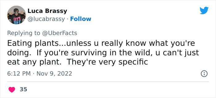 Survival-Myth-Actually-Wrong