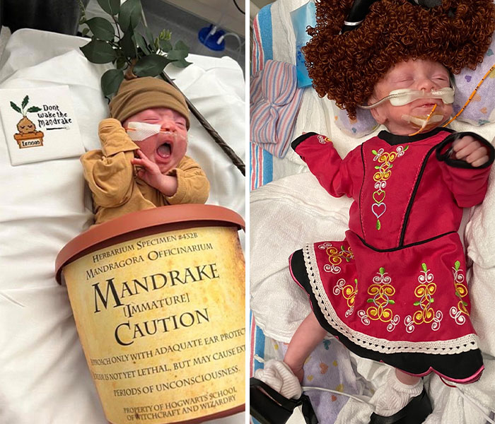 Neonatal Intensive Care Units In Illinois And Indiana Celebrate Halloween By Dressing Up The Little Ones In Adorable Costumes