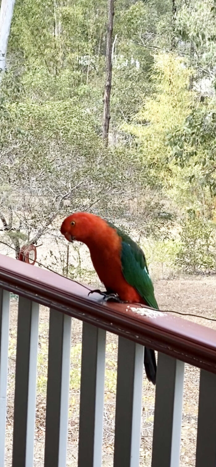 Hello Do You Have Any Food!