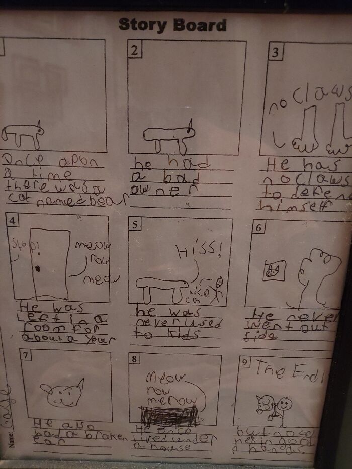 The Story Of Our Cat Bear