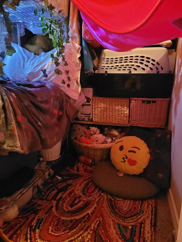 This Is My Closet That I Decorated, To Be A Fort