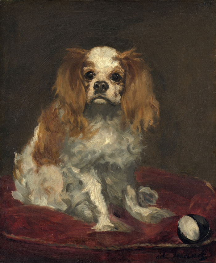 A King Charles Spaniel (C. 1866) By Edouard Manet