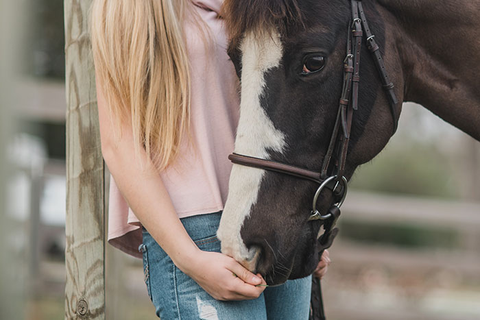 Volunteer For Equine-Assisted Therapy