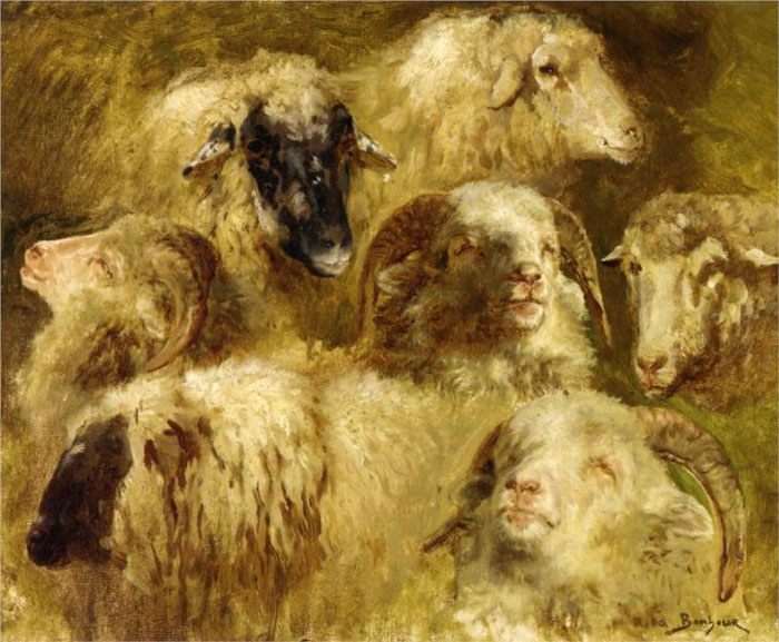 Heads Of Ewes And Rams By Rosa Bonheur