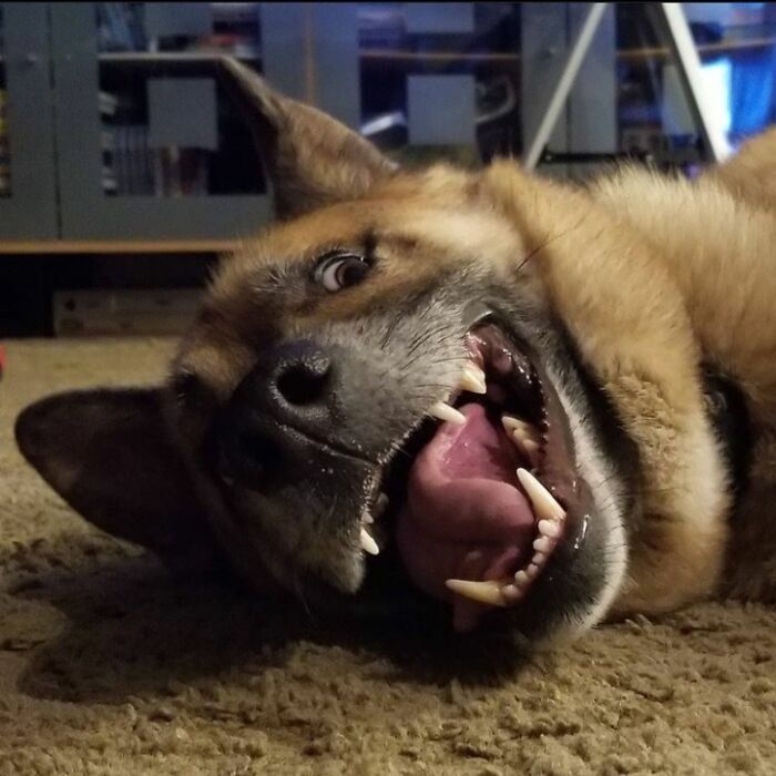 Kylo Was Feeling A Little Silly