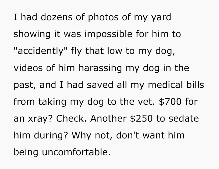Jerk sues neighbor and gets embarrassed in court because his dog destroyed his expensive drone