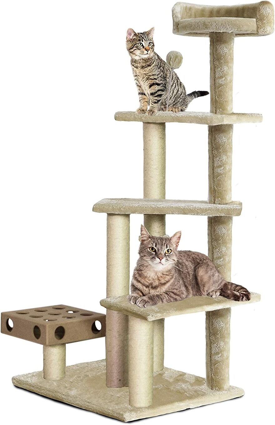 20 Unique And Amazing Products Which You Can Buy From Amazon For You Pet Cat