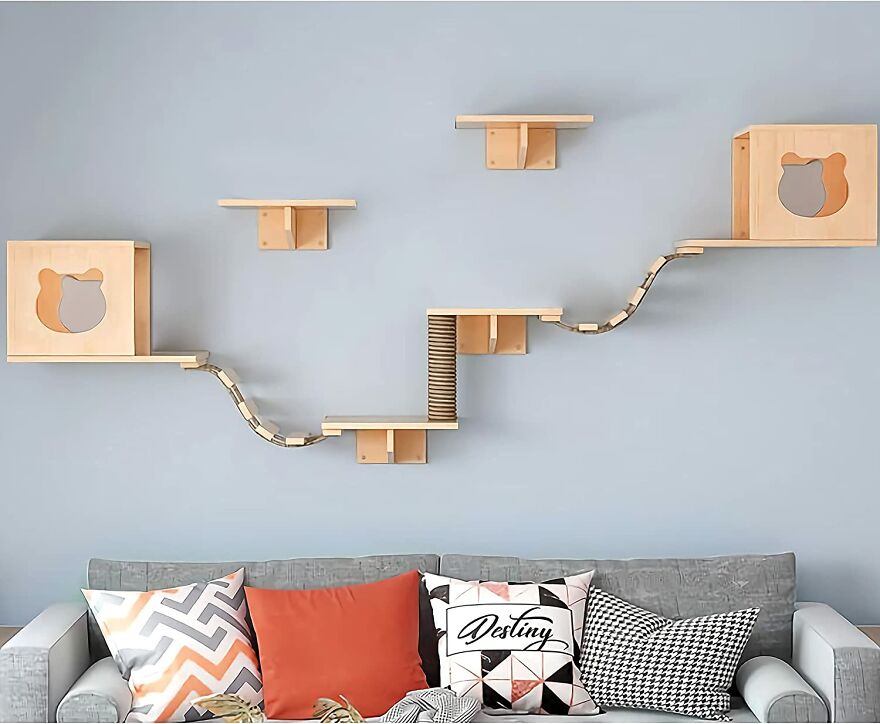 20 Unique And Amazing Products Which You Can Buy From Amazon For You Pet Cat