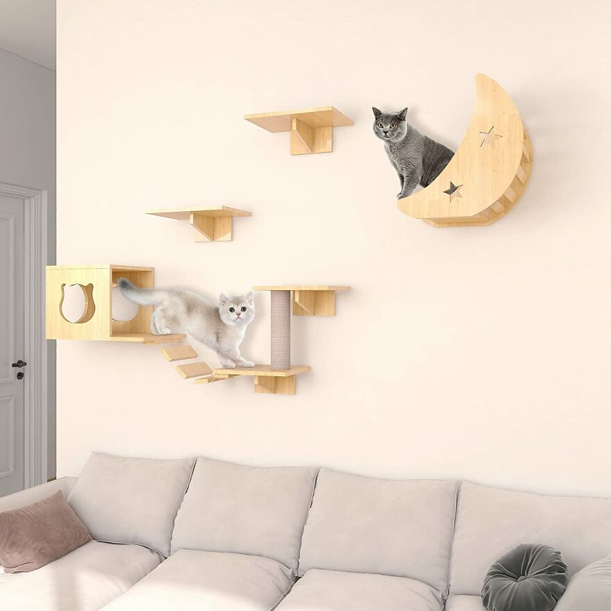 20 Unique And Amazing Products Which You Can Buy From Amazon For You Pet Cat