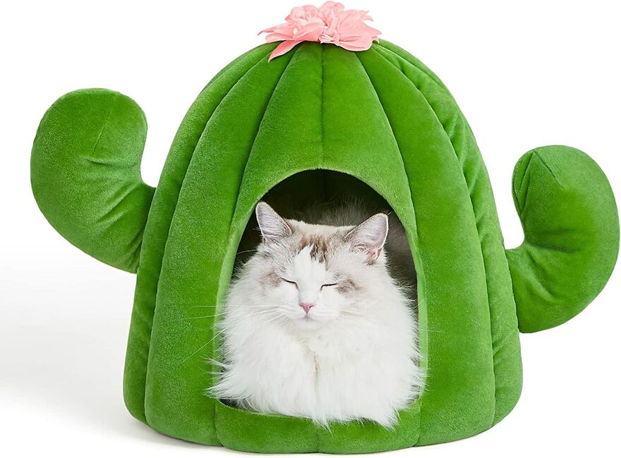 20 Unique And Amazing Products Which You Can Buy From Amazon For You Pet Cat