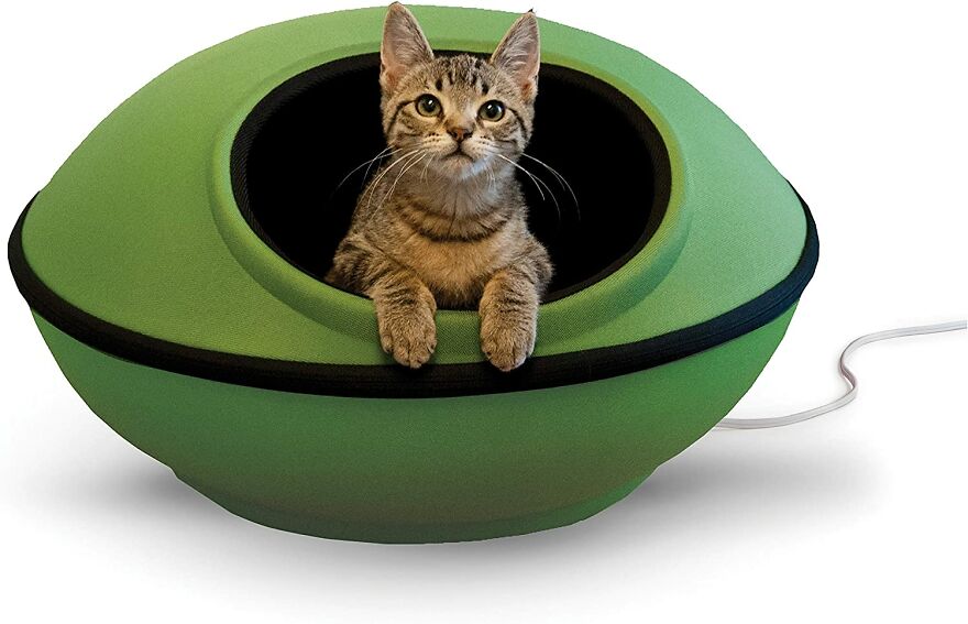 20 Unique And Amazing Products Which You Can Buy From Amazon For You Pet Cat