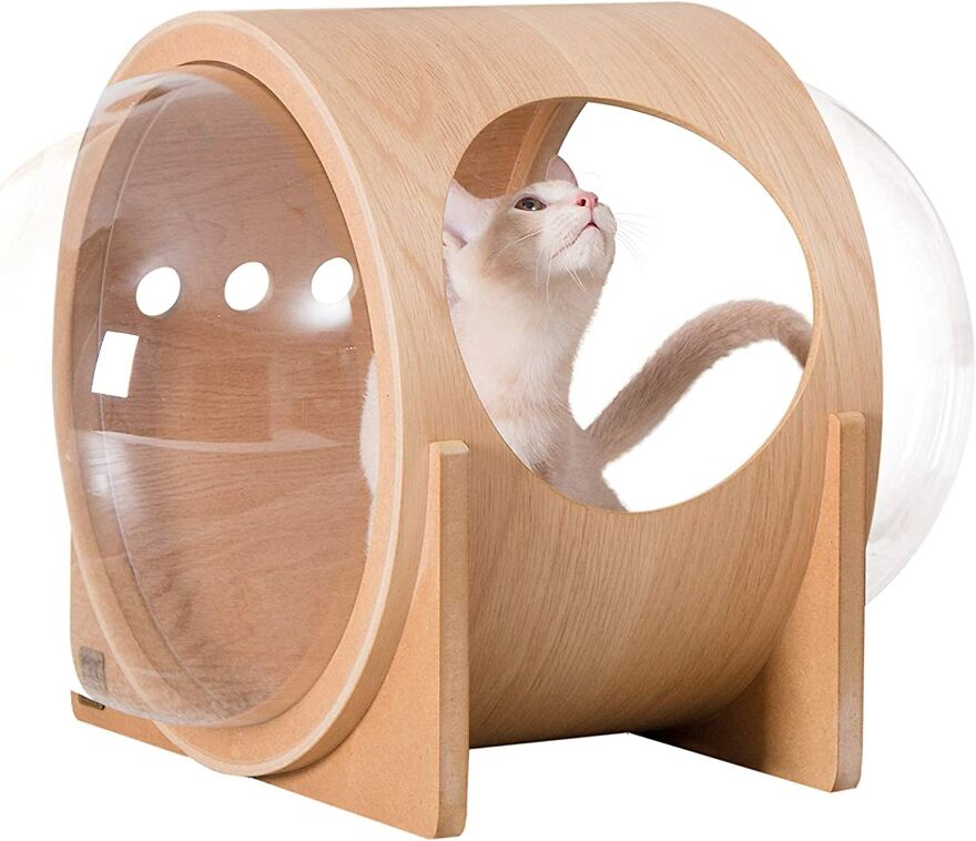 20 Unique And Amazing Products Which You Can Buy From Amazon For You Pet Cat