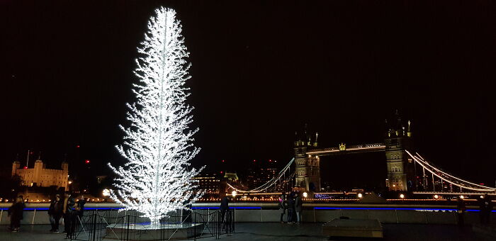 London, UK - Christmas Tree And London Bridge