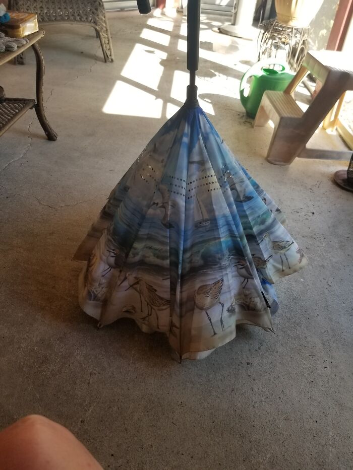 I Love My Inverted Umbrella. Always Turns Heads When I Open It