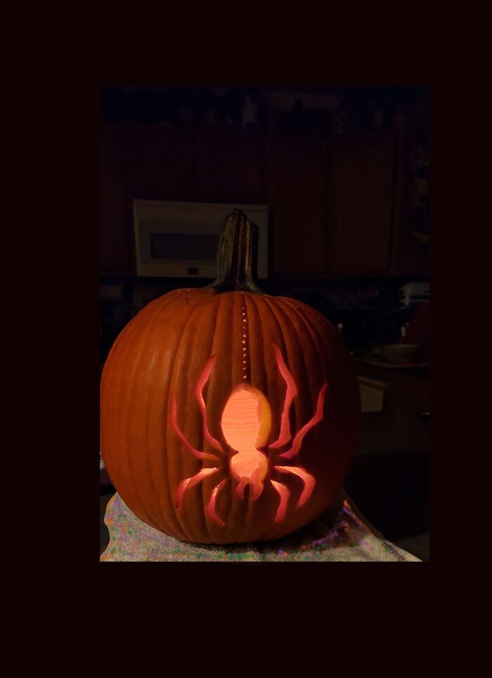 Spider... Living In The Corner, Super F*ing Normal