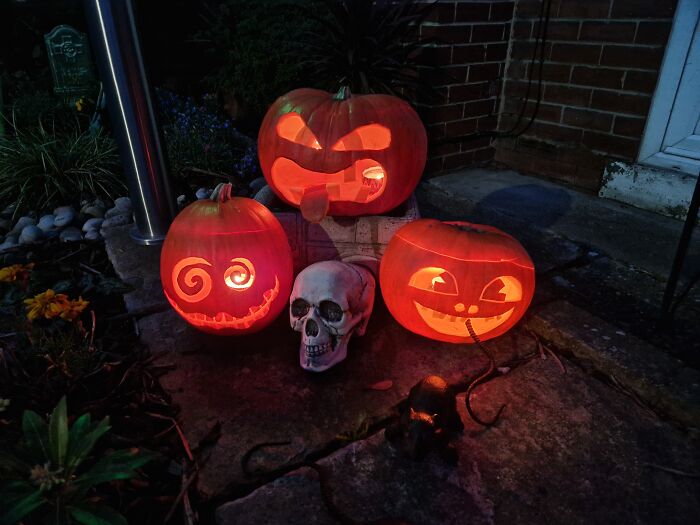 He Bit The Rat's Tail Off!