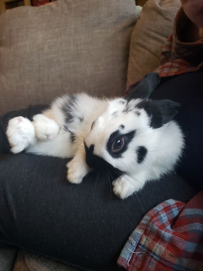 Probably Not The Coolest Thing I Own. But The Newest Addition To The Farm, Spider. And I Love Him