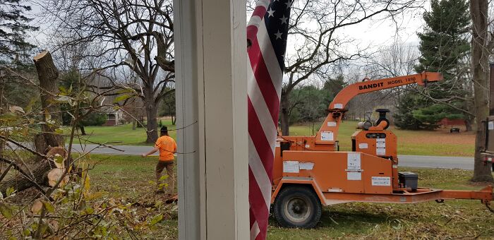 Watching Worker Remove Tree That Fell On My Roof