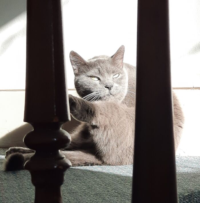 Caught Him Plotting With The Overlord Of The Light