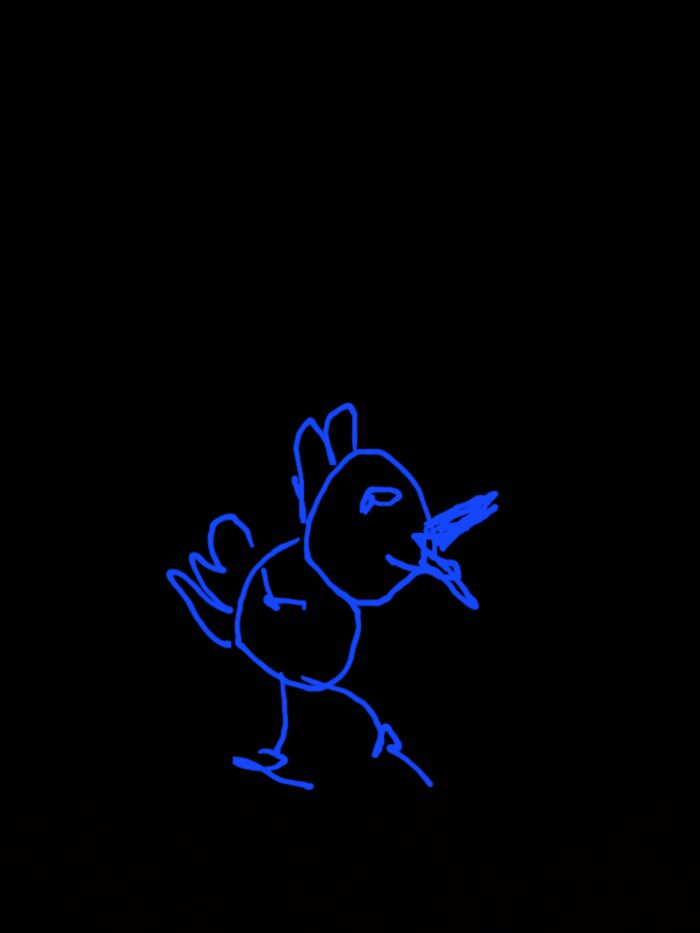 Sneaky Blue Left Handed Chicken Is Blue And Sneaky