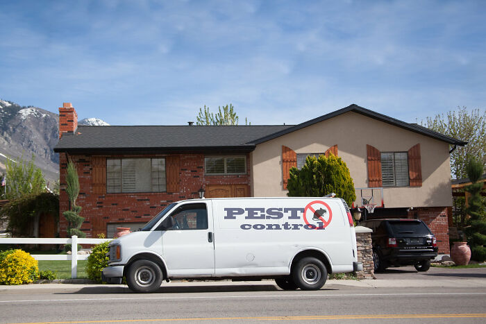 pest control