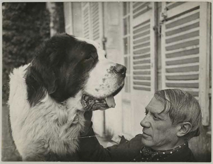 Pablo Picasso with Bob, the family’s Pyrenean Mountain dog at Boisgeloup 1930 musée national Picasso, Paris