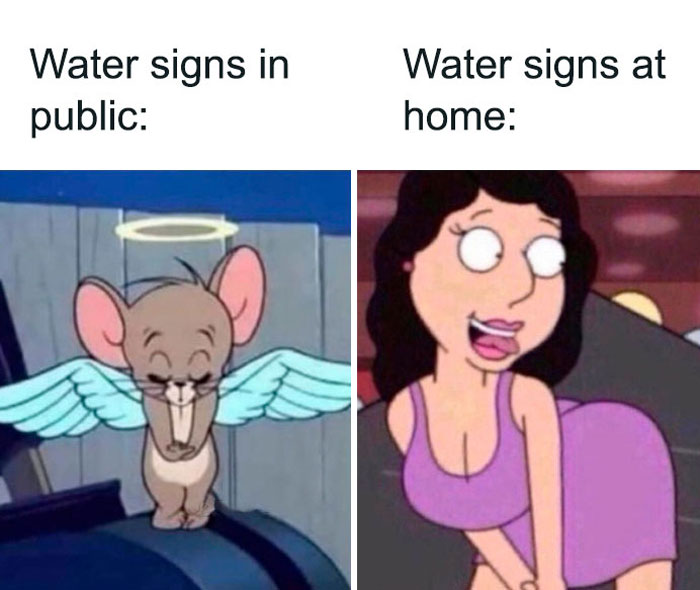 Water signs being shy in public but sassy at home meme