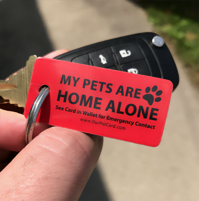 Carry A “Home Alone” Card