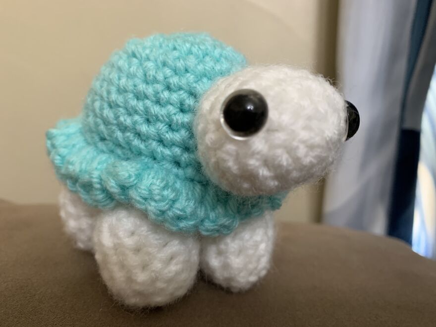 Cutie Turtle For A Friend!