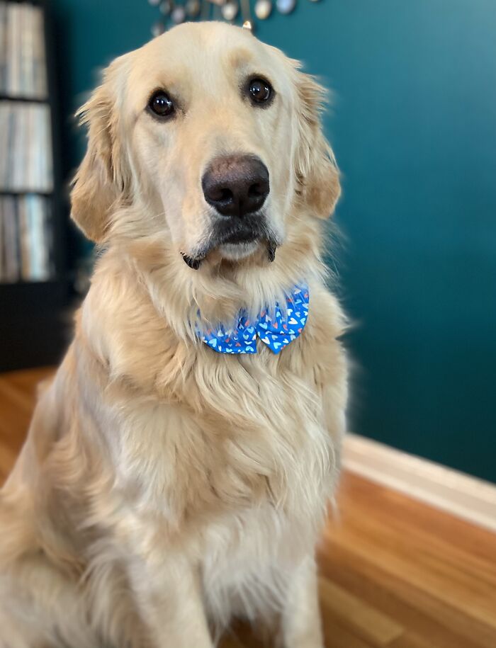 Fred: Professional Actor, Comedian And Derp