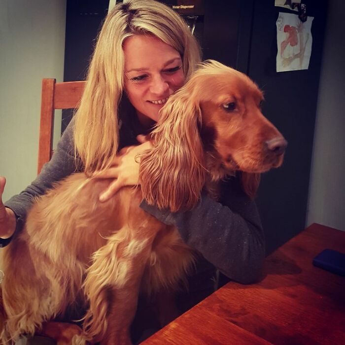 Dog And Owner Look Alikes