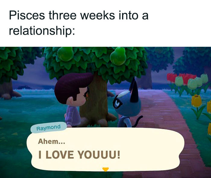 Pisces already loving the person while being only three weeks into relationship meme