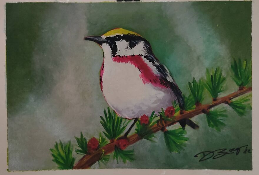 Finding My Peace And Practicing Mindfulness By Painting Animals