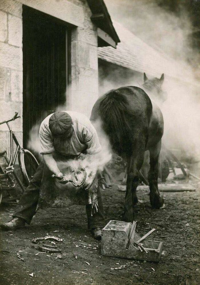 A Scottish Farmer Shoeing A Horse, 1921