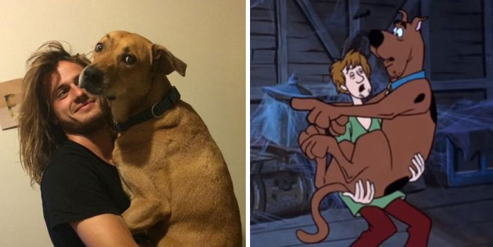 Shaggy And Scooby Doo and similar looking man with a brown dog 