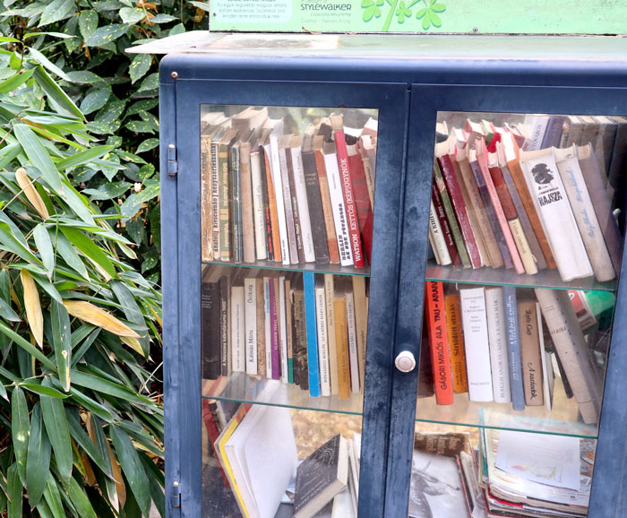 Start A Little Free Library