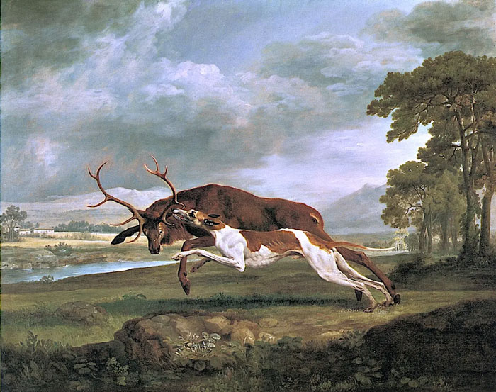 Hound Coursing A Stag (1762) George Stubbs