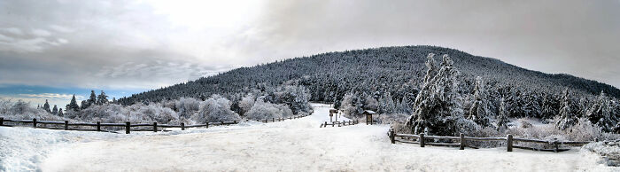 Roan Mountain, Tn In Winter... Beautiful