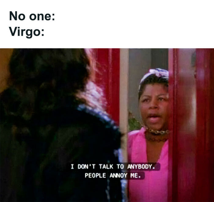 Virgos not talking to anybody because people annoy them meme