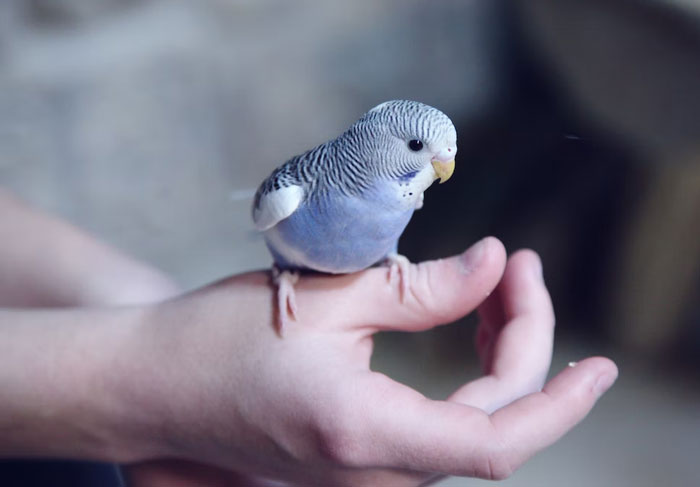 “They Will Simply Have To Keep An Eye On Their Kids”: Family Members Are Enraged At This Woman Who Refused To Childproof Her House For Their Kids “They Will Simply Have To Keep An Eye On Their Kids”: Family Members Are Enraged At This Woman Who Refused To Childproof Her House For Their Kids