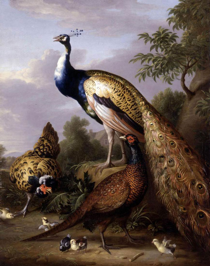 Peacock, Hen, And Male Pheasant In A Landscape (C. 1750s) By Tobias Stranover