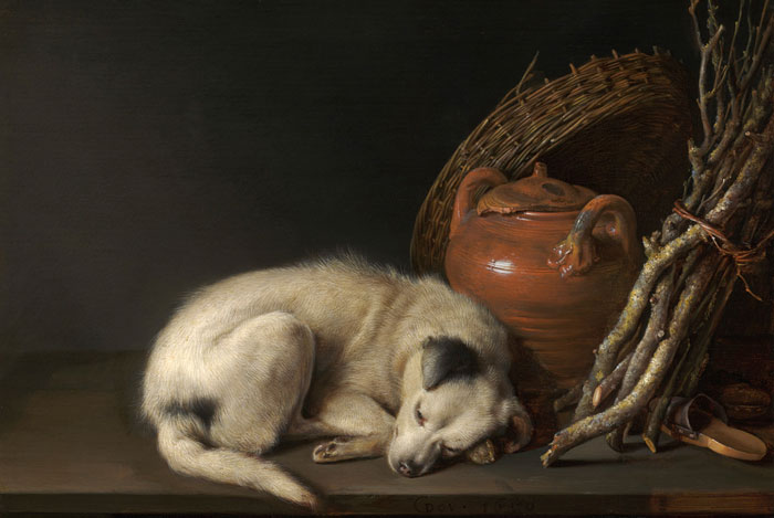 Sleeping Dog (1650) By Gerrit Dou