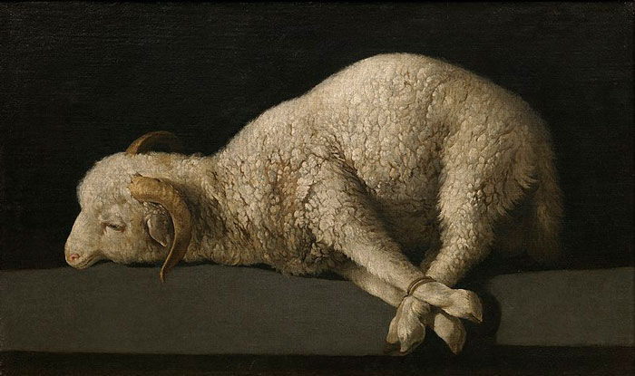 Lamb Of God (1635-40) By Francisco De Zurbaran