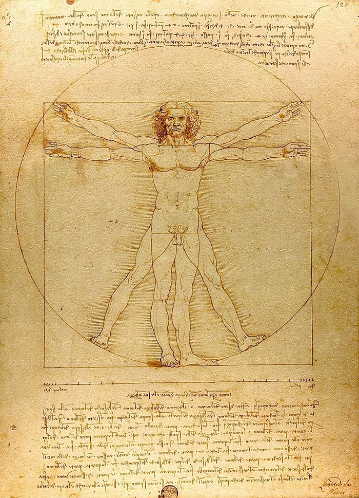 Vitruvian Man by Leonardo da Vinci, 1492