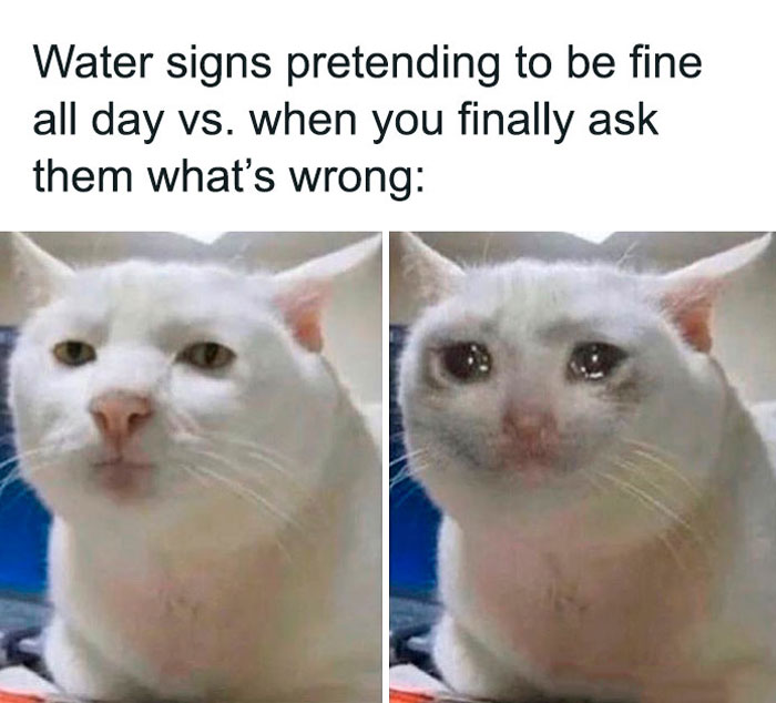Water signs pretending to be fine vs. when you ask them what's wrong meme