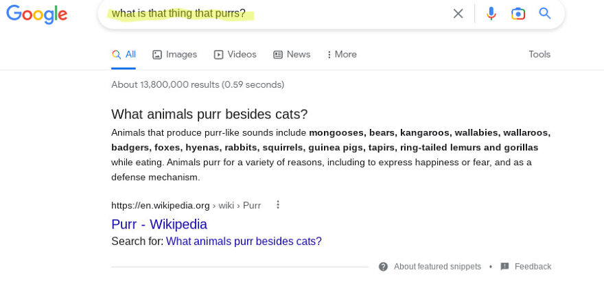 Times That You Forgot What It Was Called. (So You Asked Google)