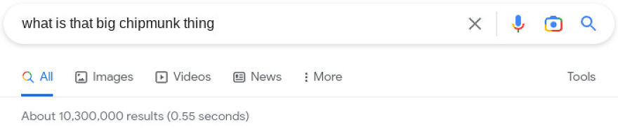 Times That You Forgot What It Was Called. (So You Asked Google)